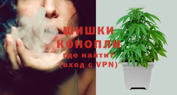 jwh Пересвет
