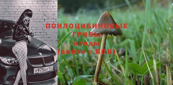 гашишное масло Алексеевка